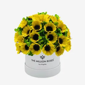 Classic White Box | Sunflowers & Green Hydrangeas